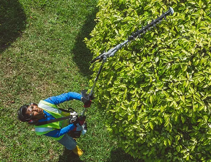 Shindaiwa Long Reach Hedge Trimmer AH236S-LW thumbnail 3