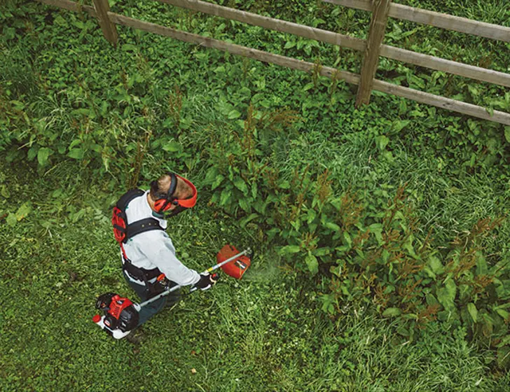 Shindaiwa Professional Brushcutter C303TS thumbnail 3